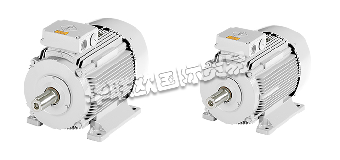 VEM電機(jī),VEM船用電機(jī),德國電機(jī),德國船用電機(jī),德國VEM